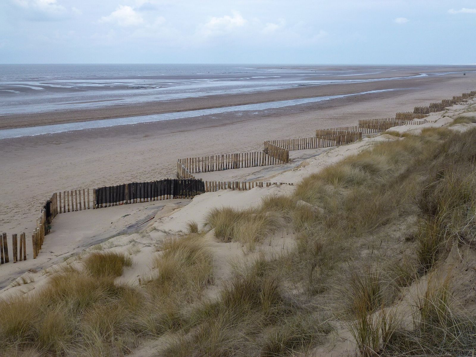 Marram-covered dunes and wooden sand fencing above the wide beach at West Sands, Holme-next-the-Sea, at low tide.