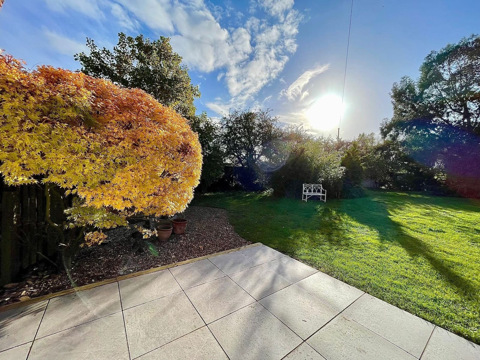 A lawn and stone patio lit by low autumn sun, with a tree of orange leaves and a hedge